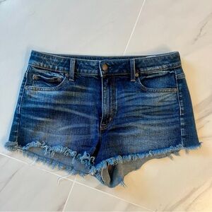 American Eagle Vintage Hi-Rise Festival Stretch Raw Hem Denim Shorts Size 10